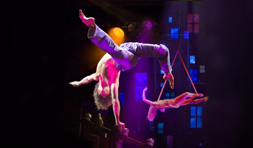 Cirque Dreams: Illumination