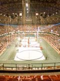 freeman-coliseum
