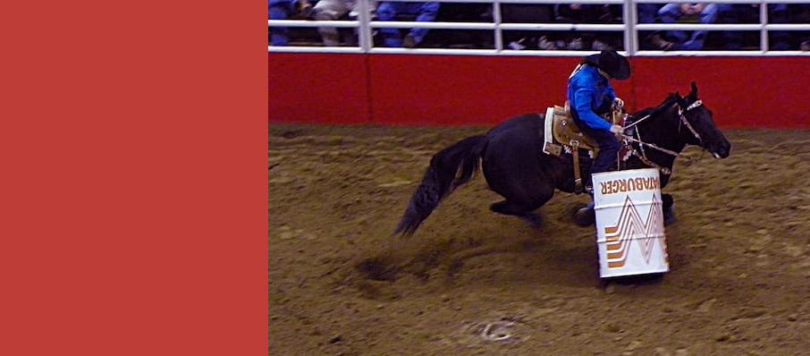 San Antonio Stock Show Rodeo Seating Chart