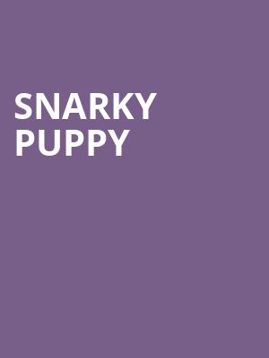 Snarky Puppy, The Espee Pavilion, San Antonio