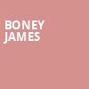 Boney James, Charline McCombs Empire Theatre, San Antonio